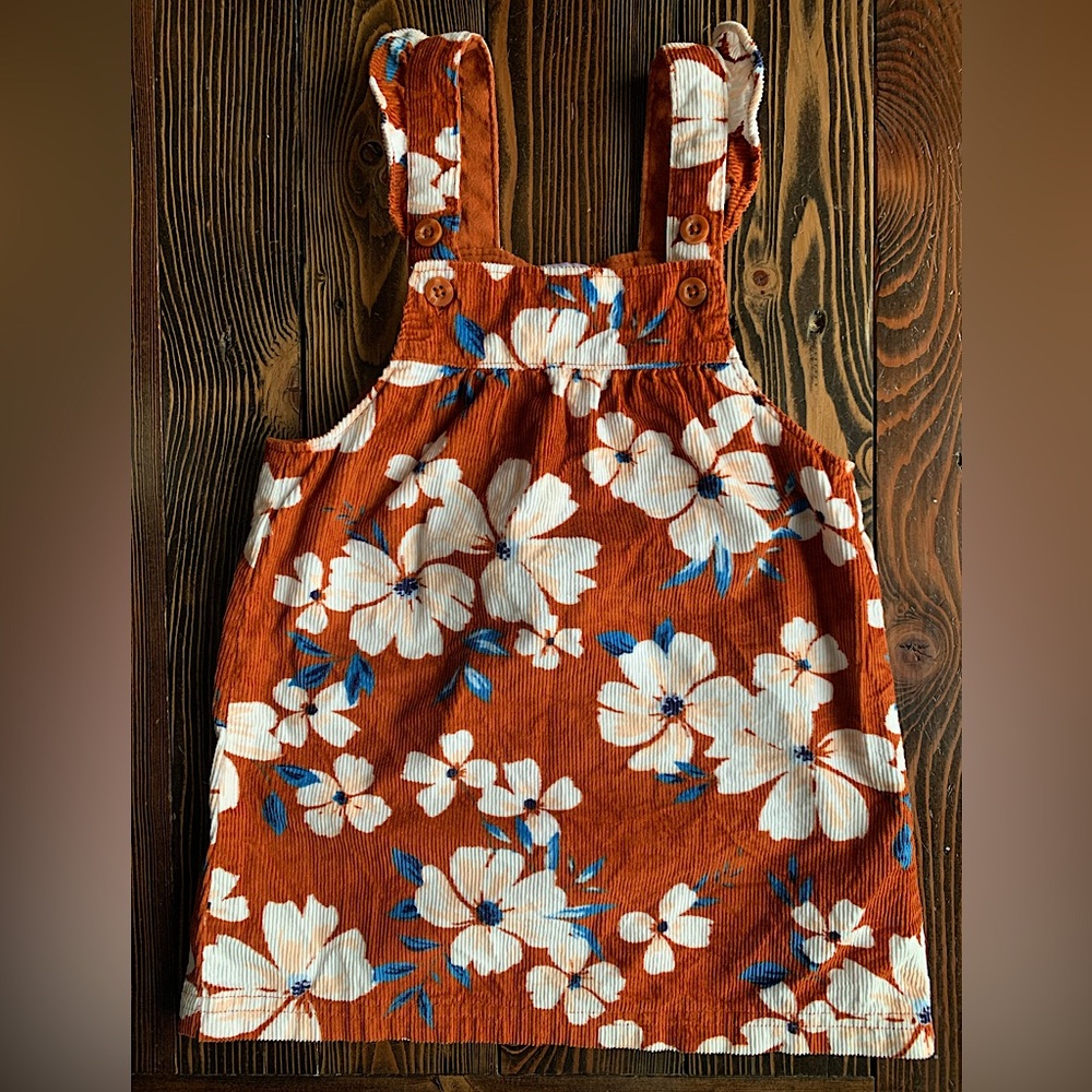 CARTER’S • Girls corduroy floral jumper skirtall dress casual Easter 18 months